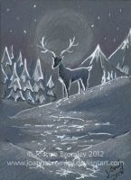 Moonlight Stag